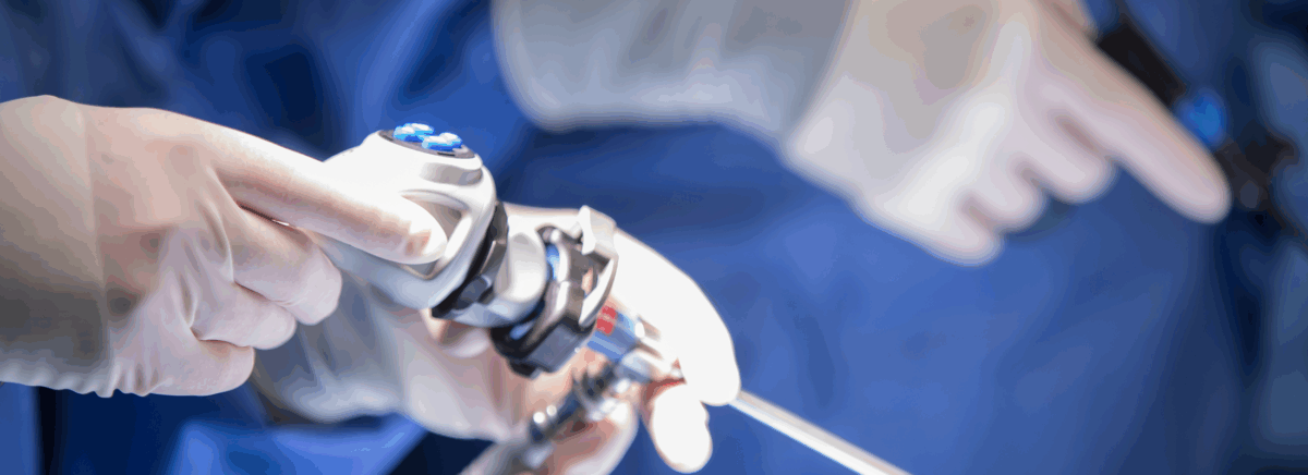 Ornare Dapibus Lorem