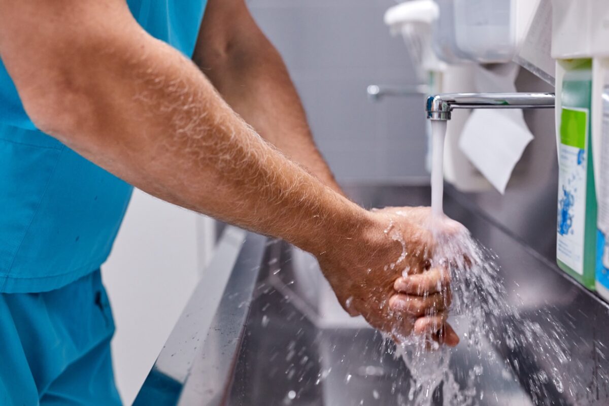 Mattis Fermentum Tortor