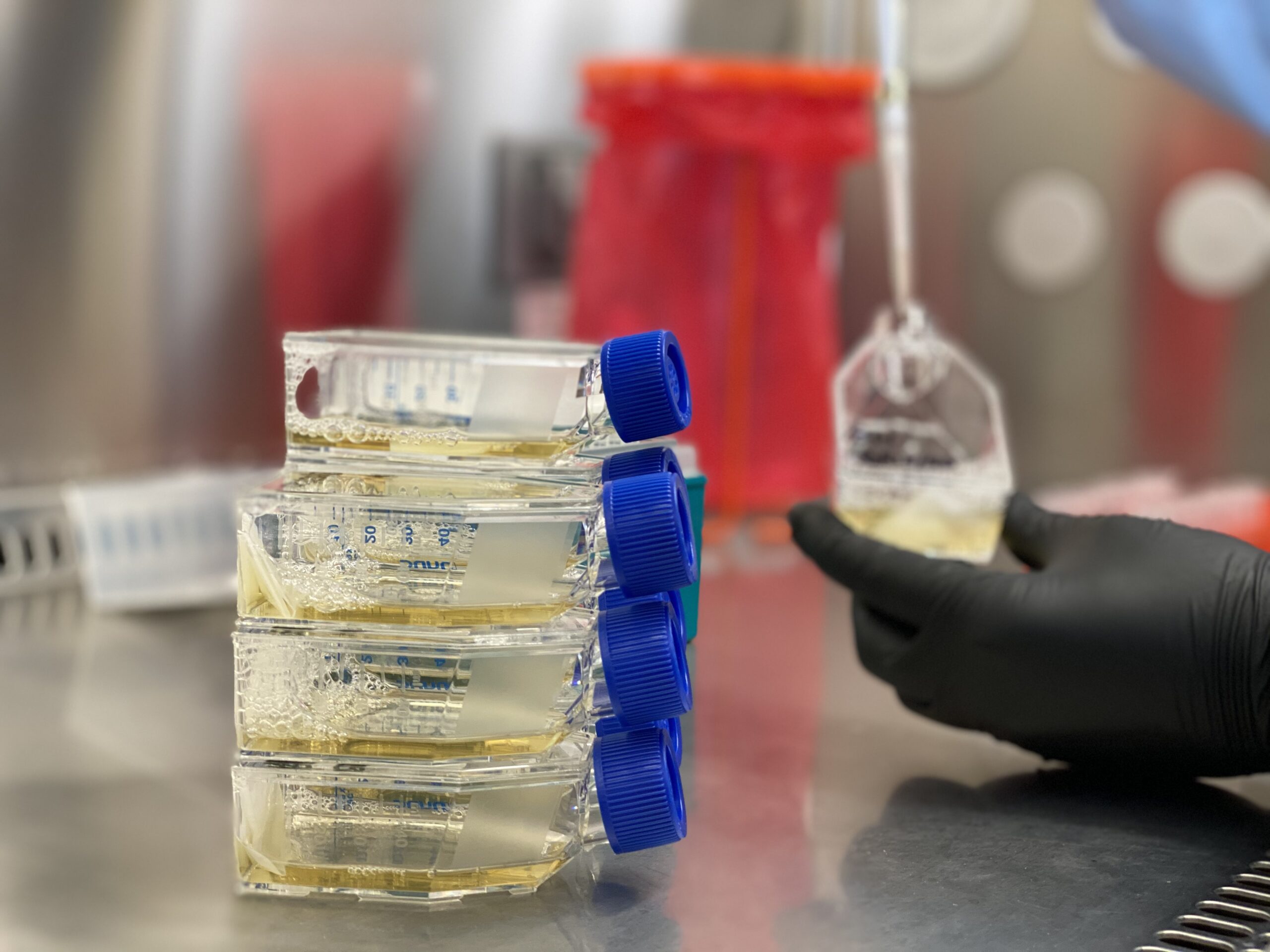 Validation testing with VIABLE