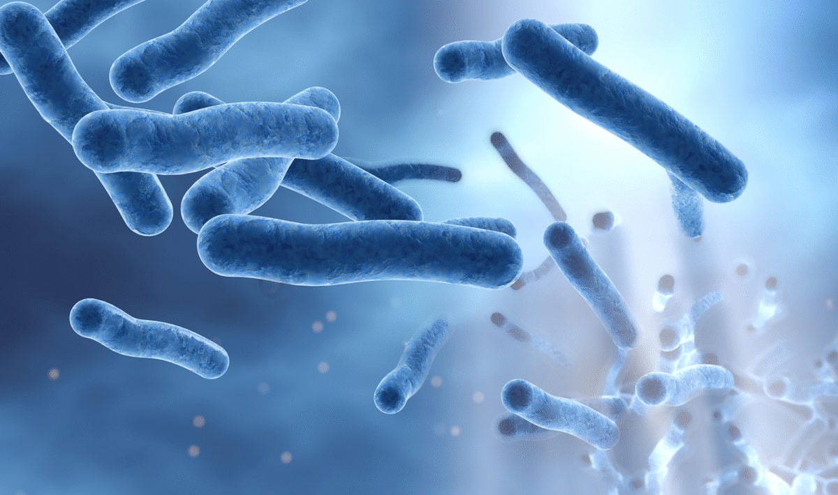 Rod shaped pathogen called Legionella